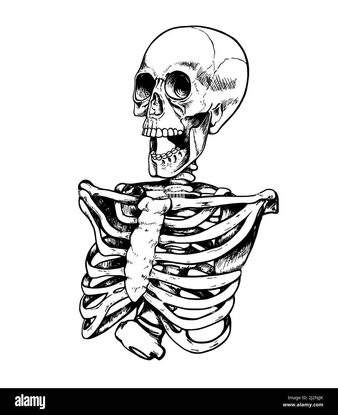 Hand drawn sketch of human skeleton on a white background Stock Photo