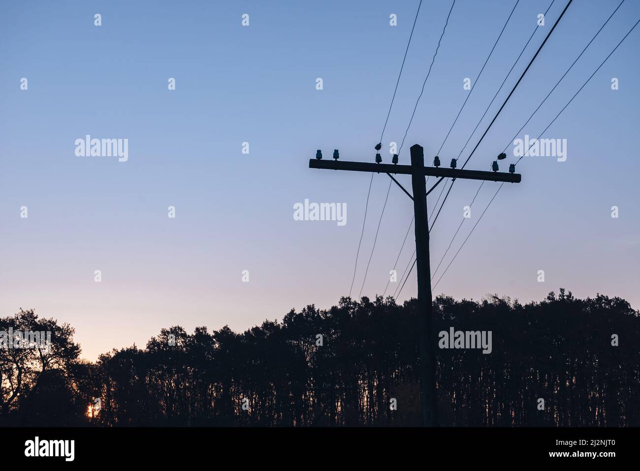 Colorful sunrise over the with trees and electric pole Stock Photo - Alamy