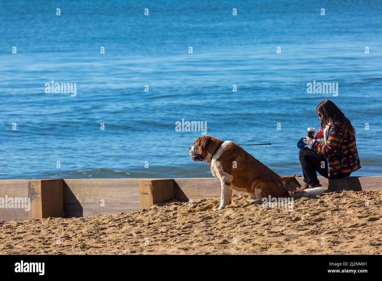 Bournemouth, Dorset UK. 3rd April 2022. UK weather: sunny with blue skies at Bournemouth beach after a cold frosty start to the day, as visitors head to the seaside to enjoy the sunshine. Credit: Carolyn Jenkins/Alamy Live News Stock Photo