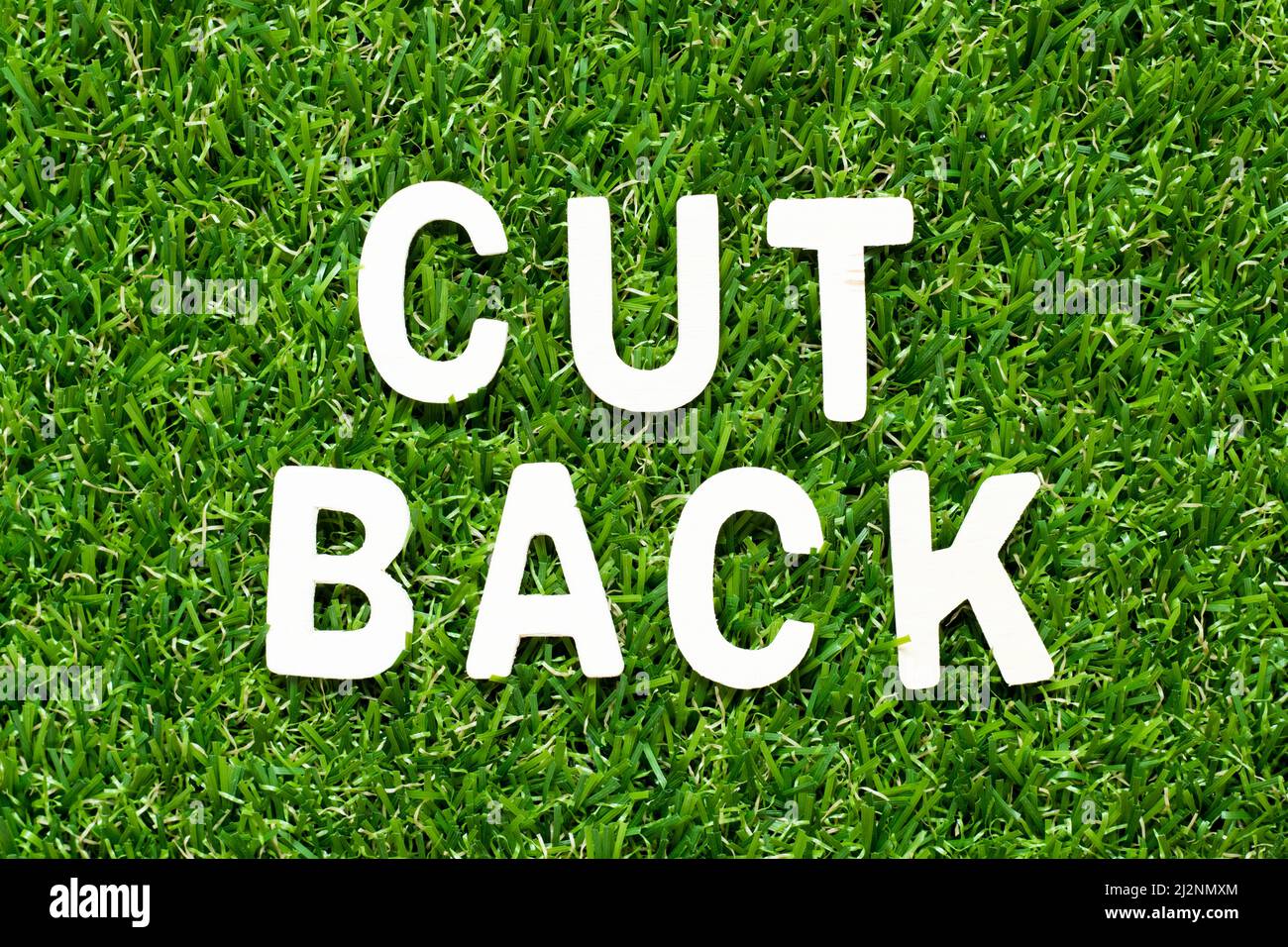 Wood alphabet letter in word cut back on green grass background Stock Photo