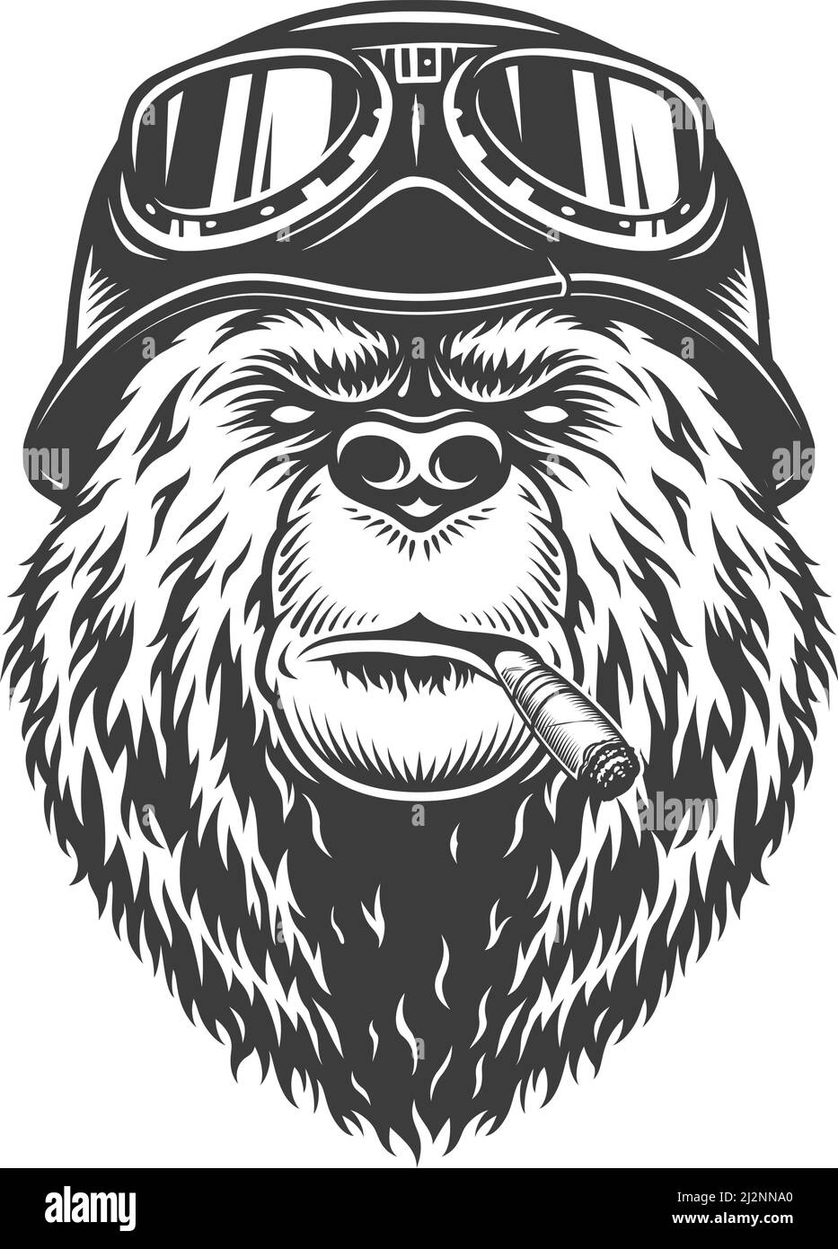 bear wearing a motorcycle helmet Motorcycle bear hi-res stock photography and images
