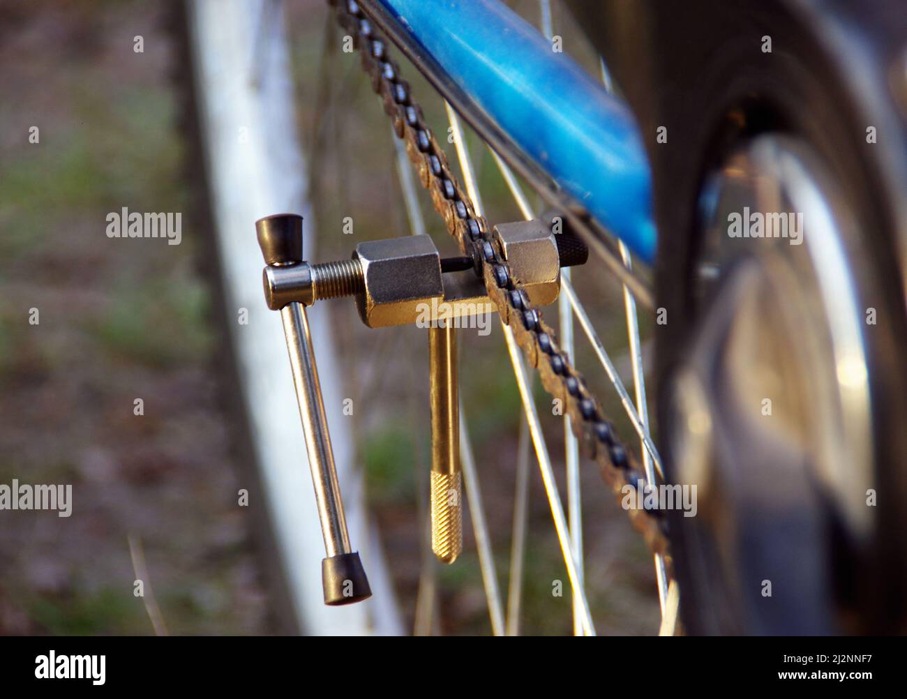 Bicycle chain repair. Maintenance and preparation for the next cycling season. Stock Photo