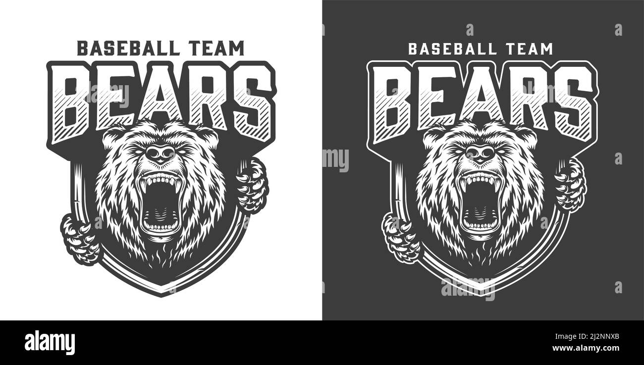 Vintage aggressive bear head mascot logotype of baseball team isolated vector illustration Stock Vector