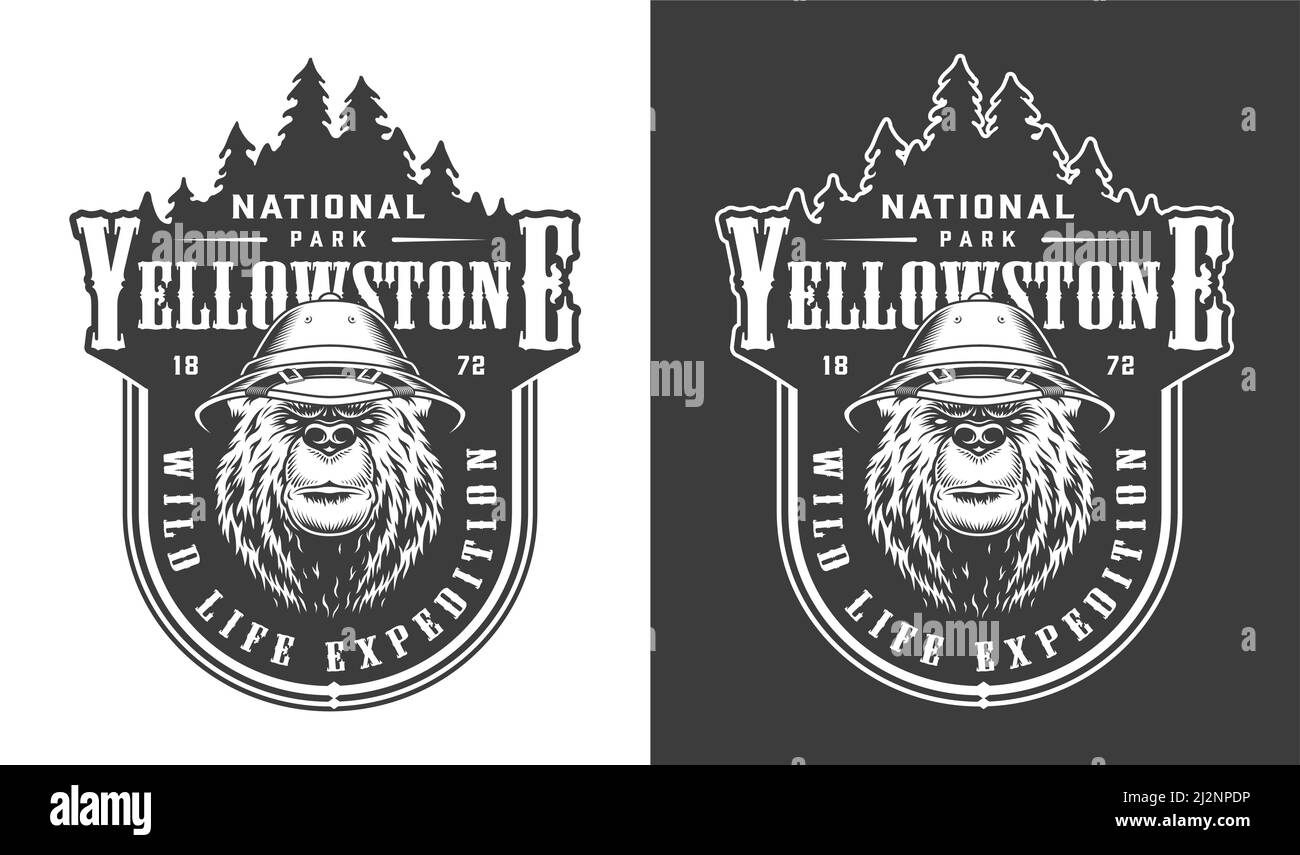 Vintage Yellowstone national park label with serious bear in safari hat ...