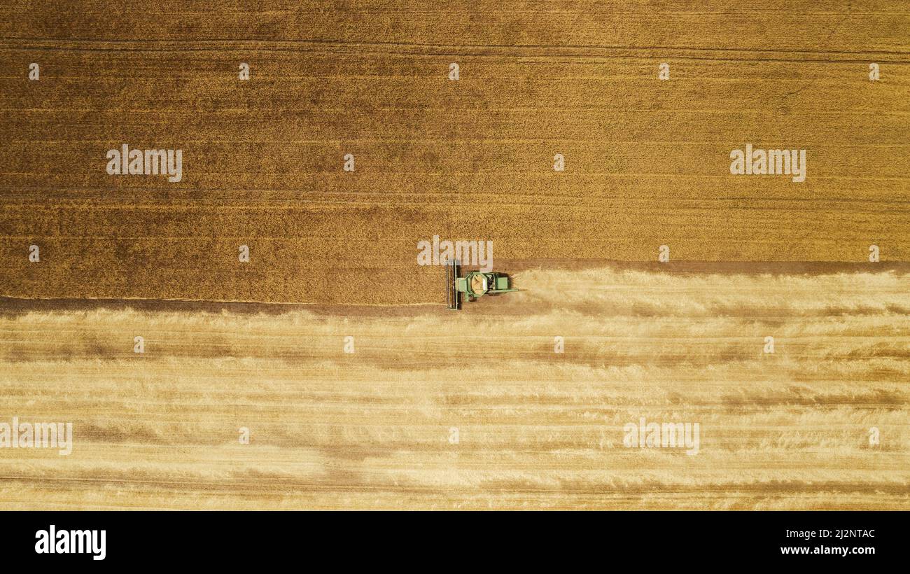 Aerial view combine harvester harvesting on the field Stock Photo - Alamy