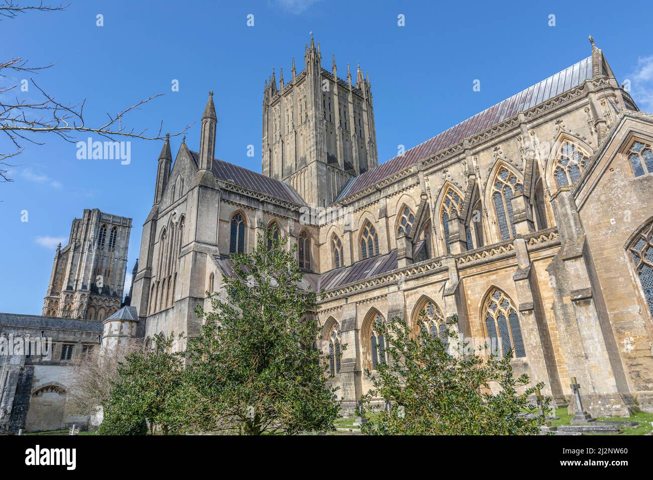 A section of Wells Cathedral taken from one of the gardens Stock Photo ...