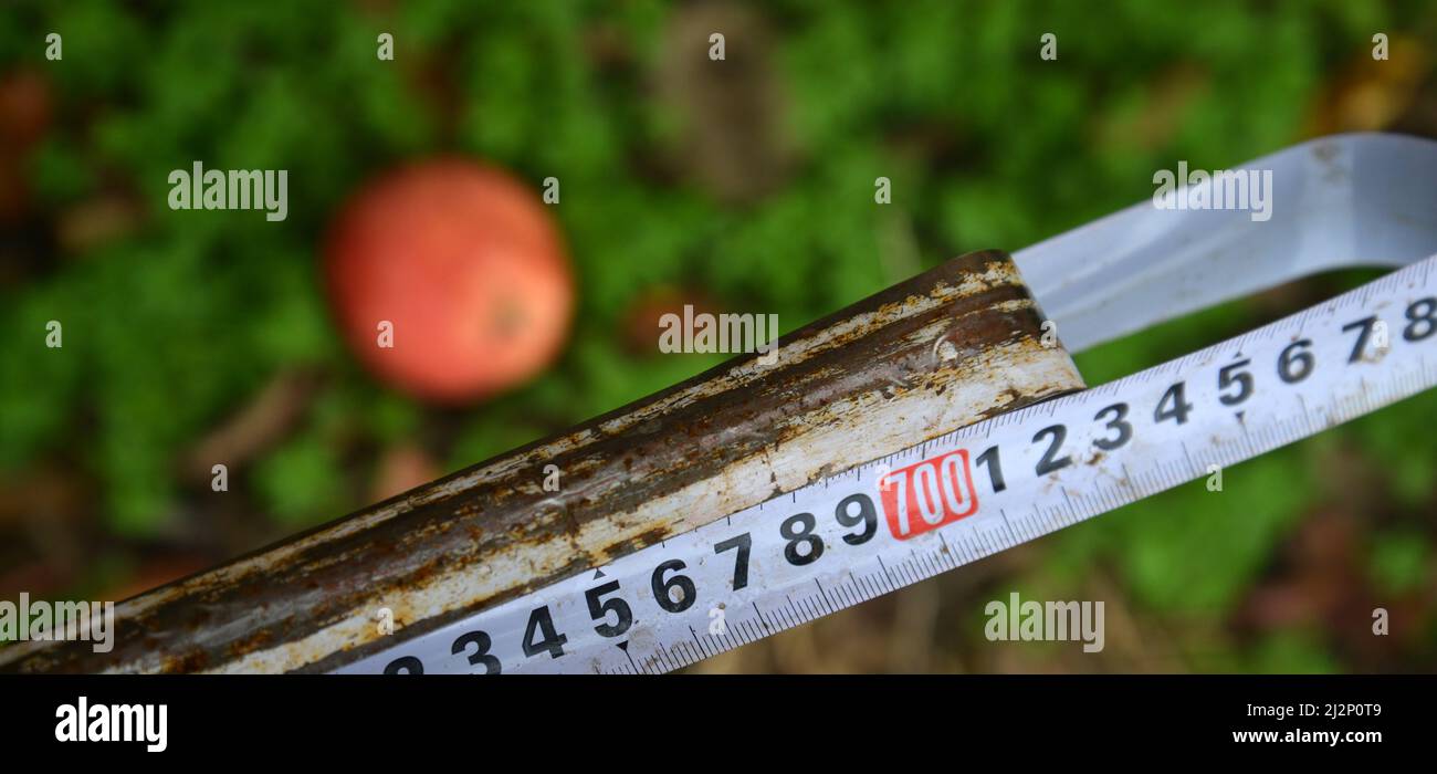 Tape measure isolated on white background Stock Photo - Alamy