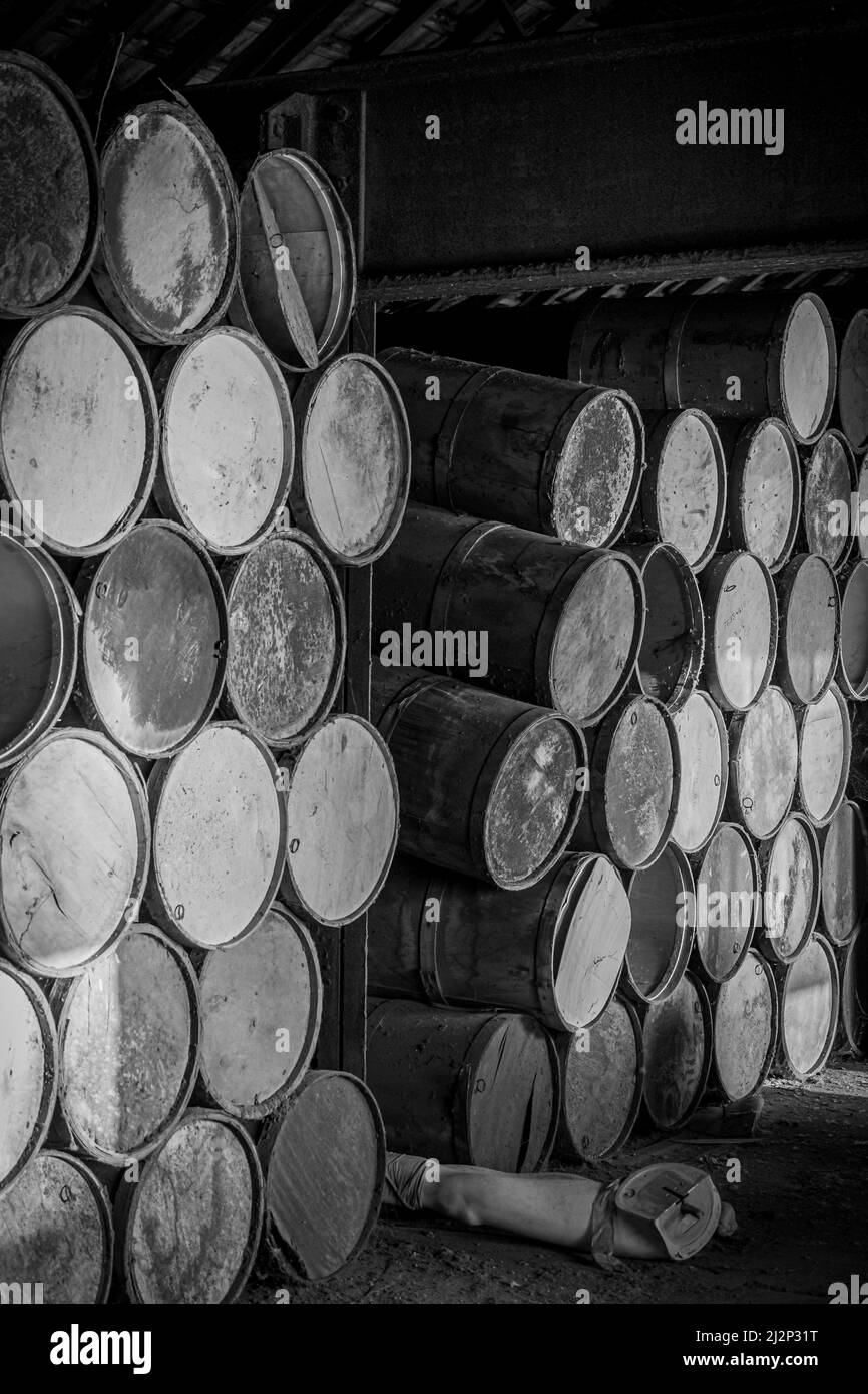 wooden barrels stacked in old abandoned industry building Stock Photo