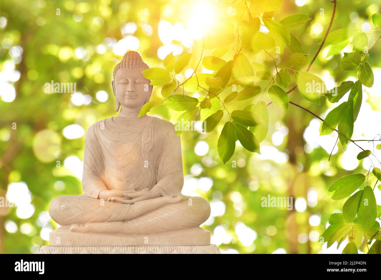 Buddha statue on green blurred nature background. Buddhist holy days