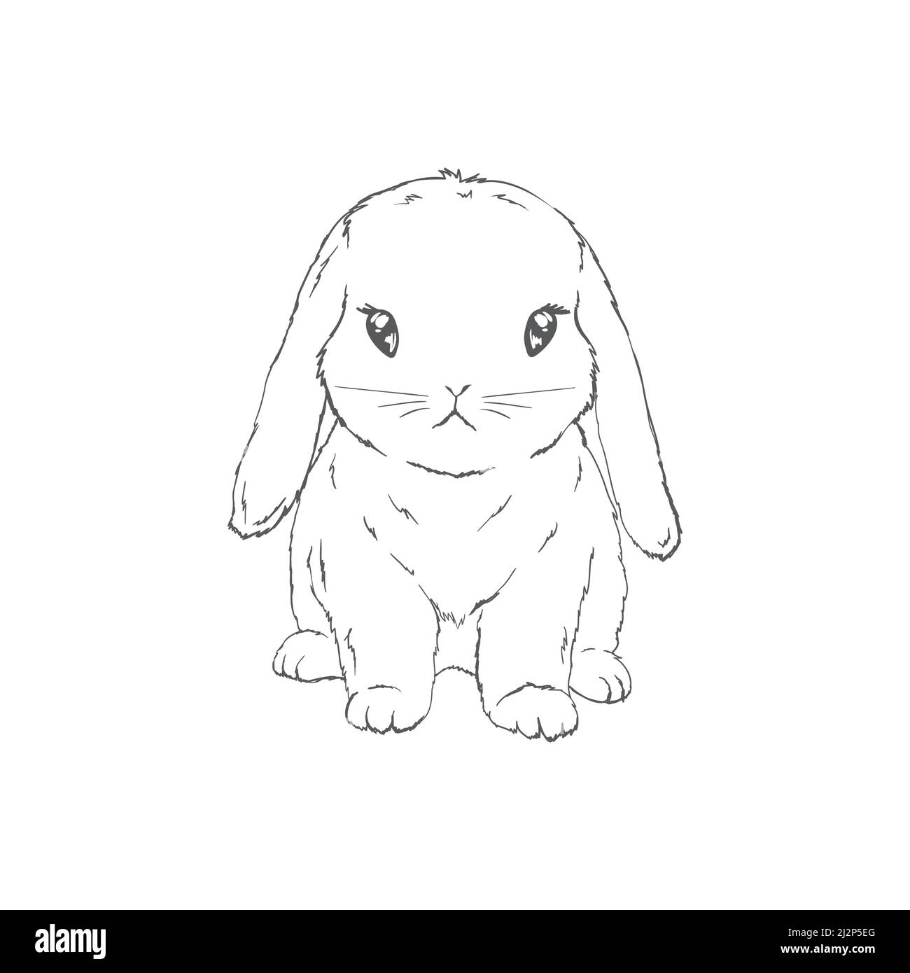 3,362 Cute Bunny Drawing Stock Photos - Free & Royalty-Free Stock Photos  from Dreamstime