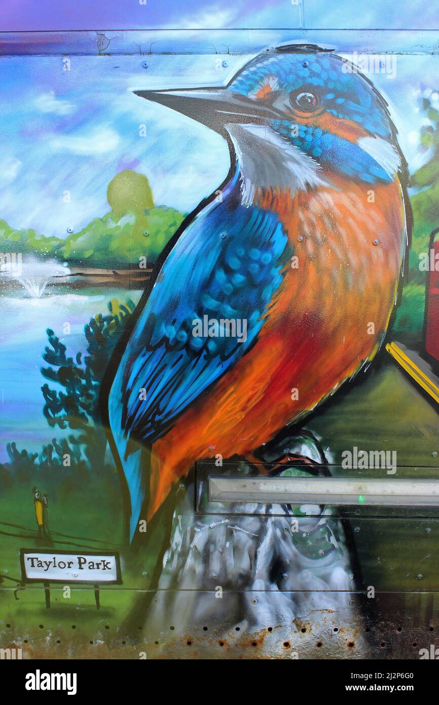 Kingfisher Art Stock Photo