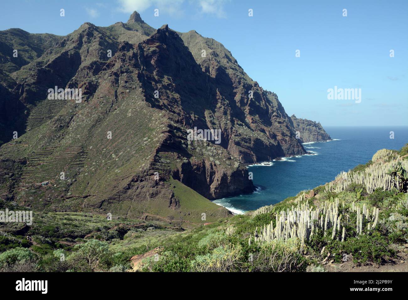 Along the hiking trail to Playa de Tamadite in the Anaga Mountains on the north coast of Tenerife, near Taganana, Canary Islands, Spain. Stock Photo