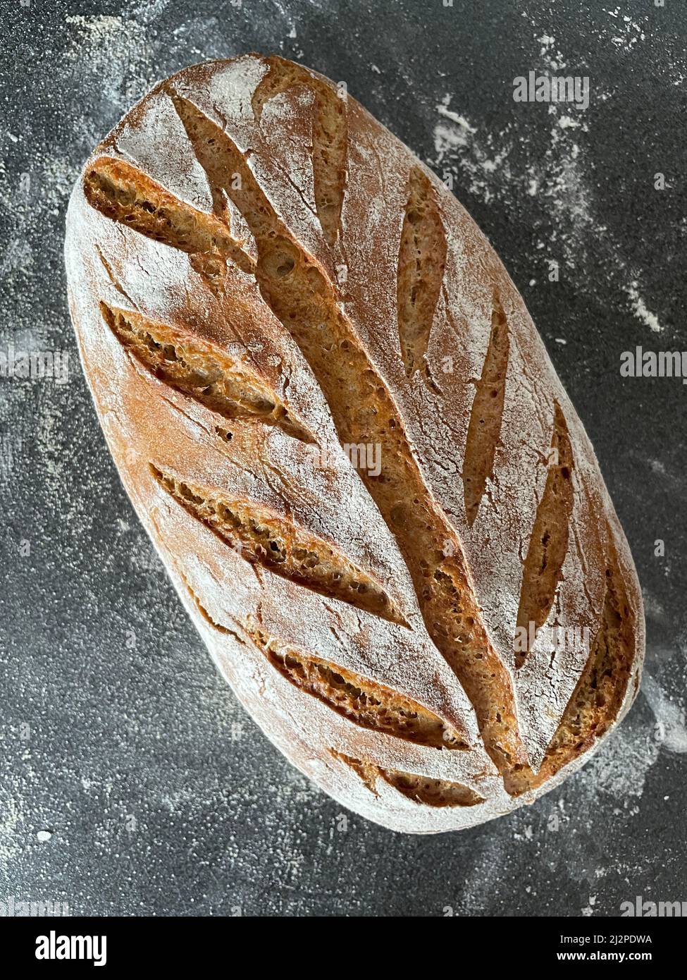 whole grain wheat bread made with sour dough on grey surface with ear pattern in bread crust