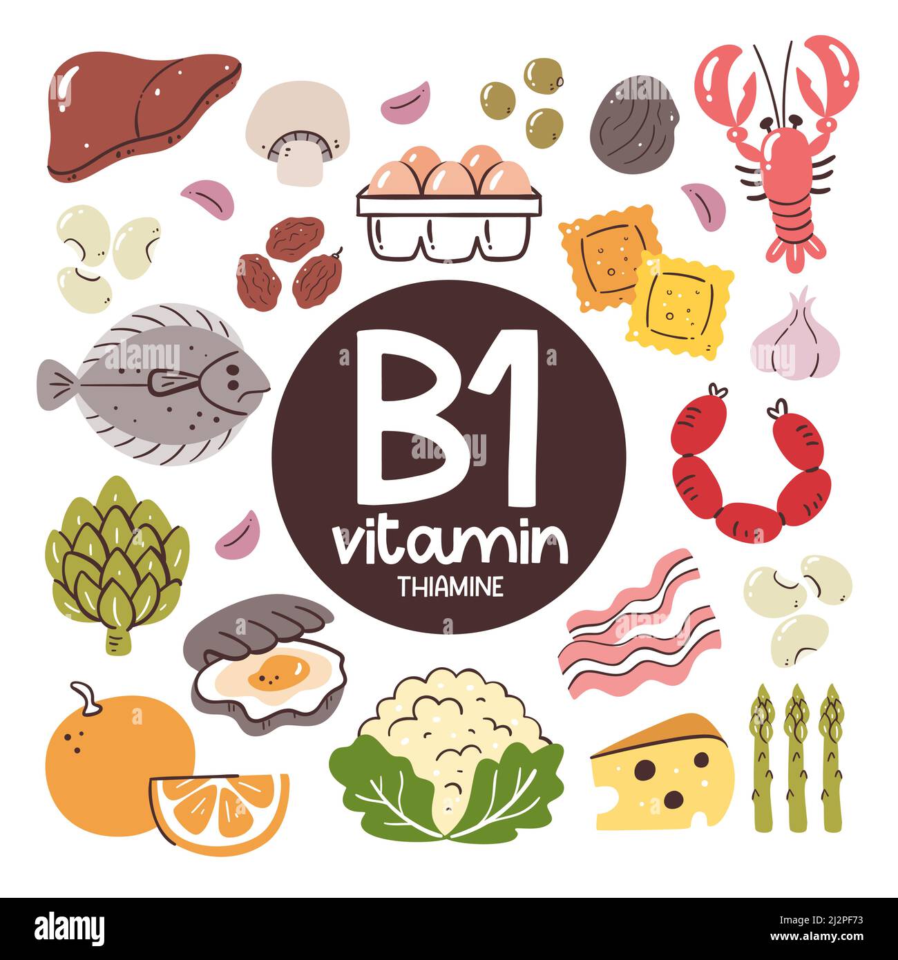 Food products with high level of Vitamin B1 (Thiamine). Cooking ingredients. Fruits, vegetables, legumes, dairy, seafood, meat products. Stock Vector