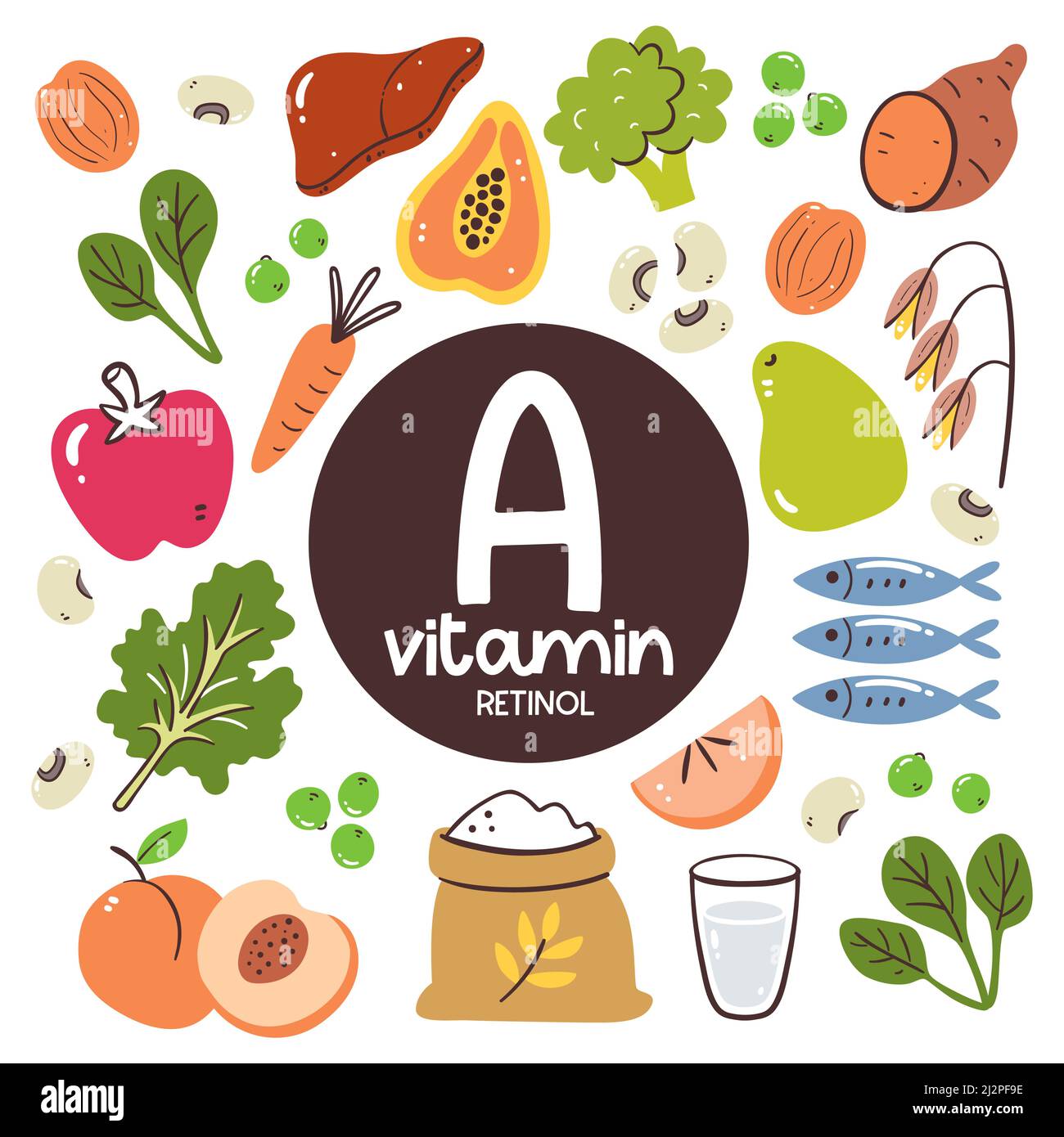 Food products with high level of Vitamin A (Retinol). Cooking ingredients. Fruits, vegetables, legumes, grain, fish. Stock Vector