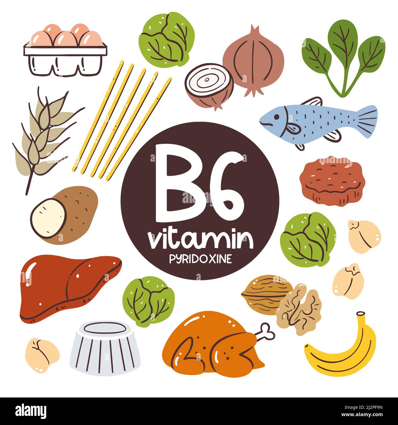 Food products with high level of Vitamin B6 (Pyridoxine). Cooking ingredients. Fruits, vegetables, legumes, grain, fish, meat, pasta, eggs, nuts. Stock Vector