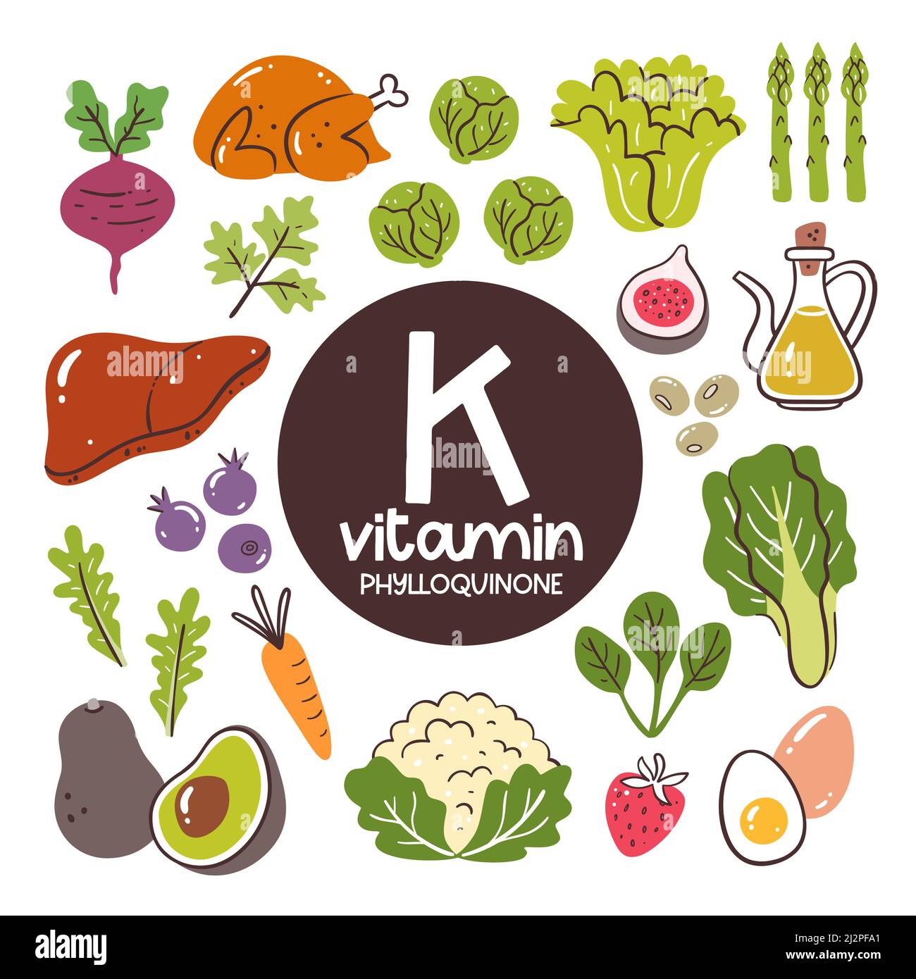 Food products with high level of Vitamin K (Phylloquinone). Cooking ingredients. Vegetables, fruits, eggs, meat, oil. Stock Vector