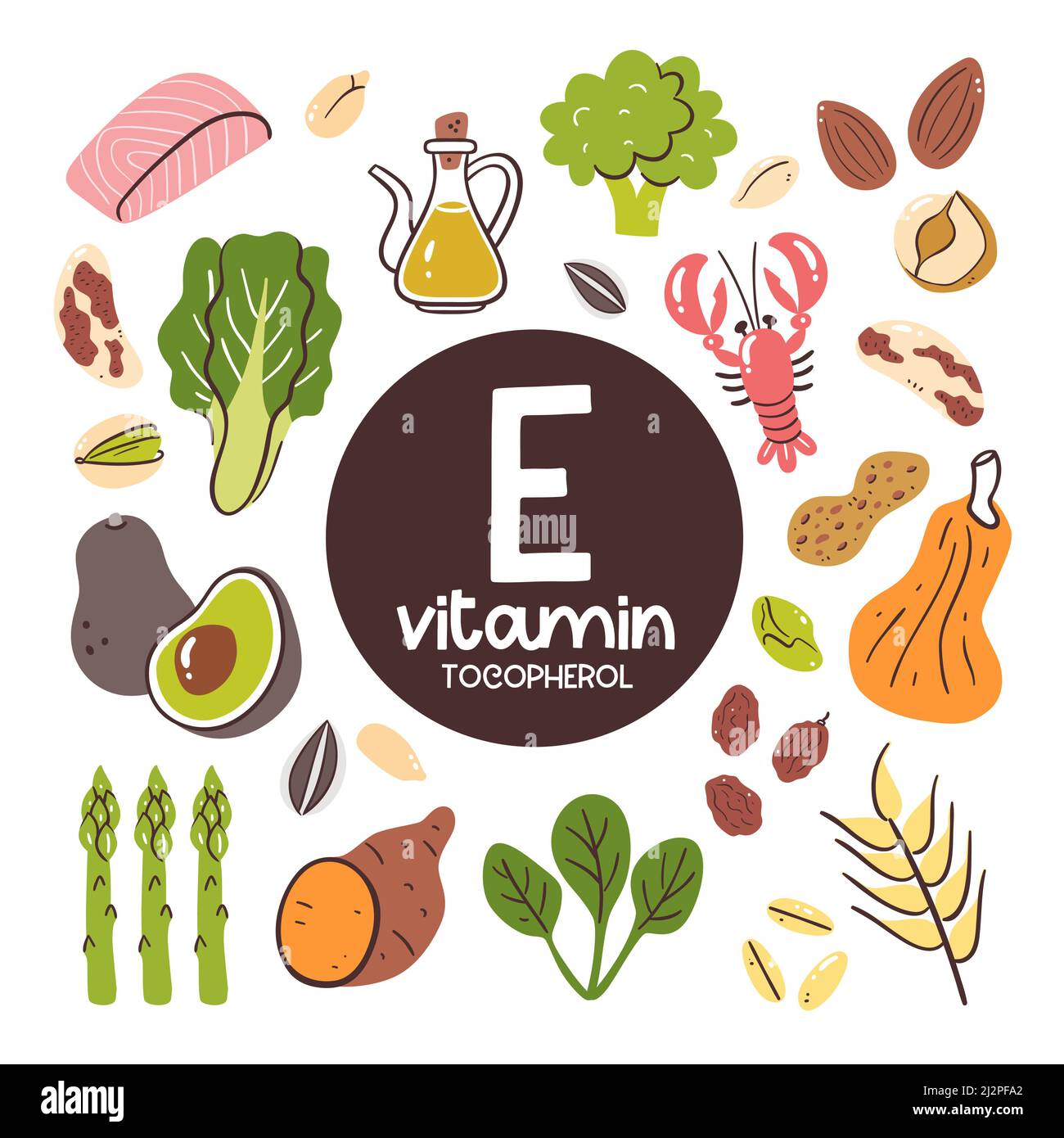 Food products with high level of Vitamin E (Tocopherol). Cooking ingredients. Seafood, vegetables, nuts, grain. Stock Vector