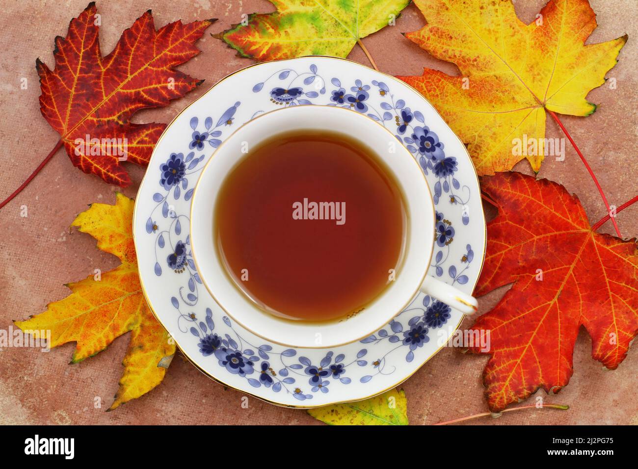 Black tea in vintage cup on top of colorful autumn maple leaves on rustic wooden surface Stock Photo