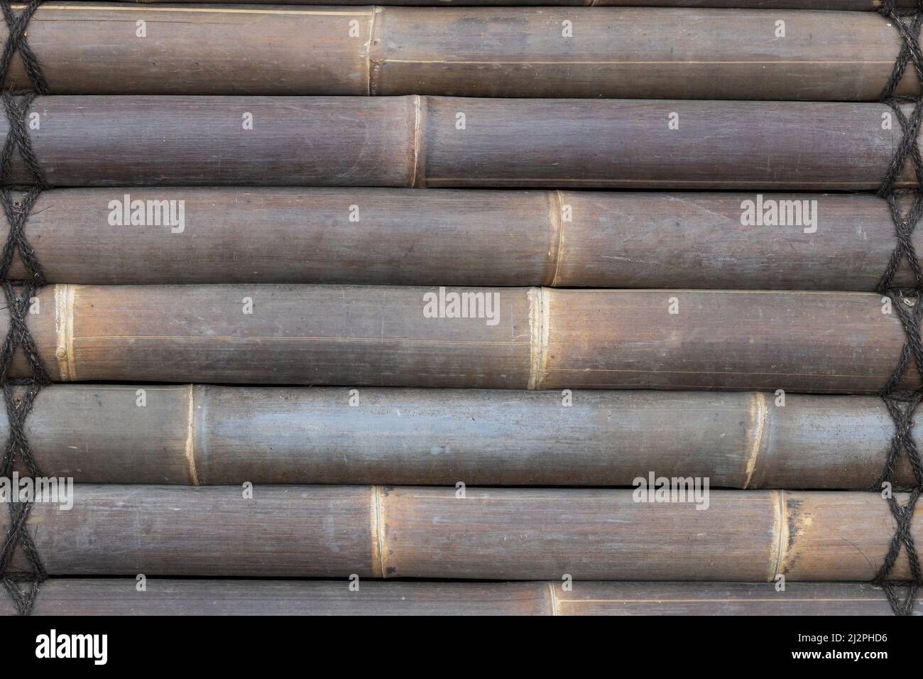 Brown bamboo background with texture for banner, thick, old bamboo. Stock Photo