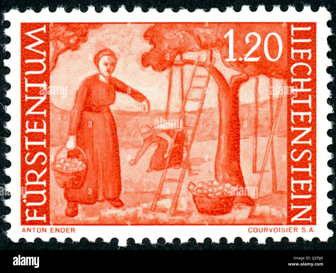 LIECHTENSTEIN - CIRCA 1960: A postal stamp printed in Liechtenstein, showing apple harvest, circa 1960 Stock Photo