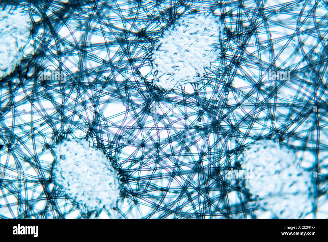Non-woven synthetic material of a medical mask under a microscope Stock Photo