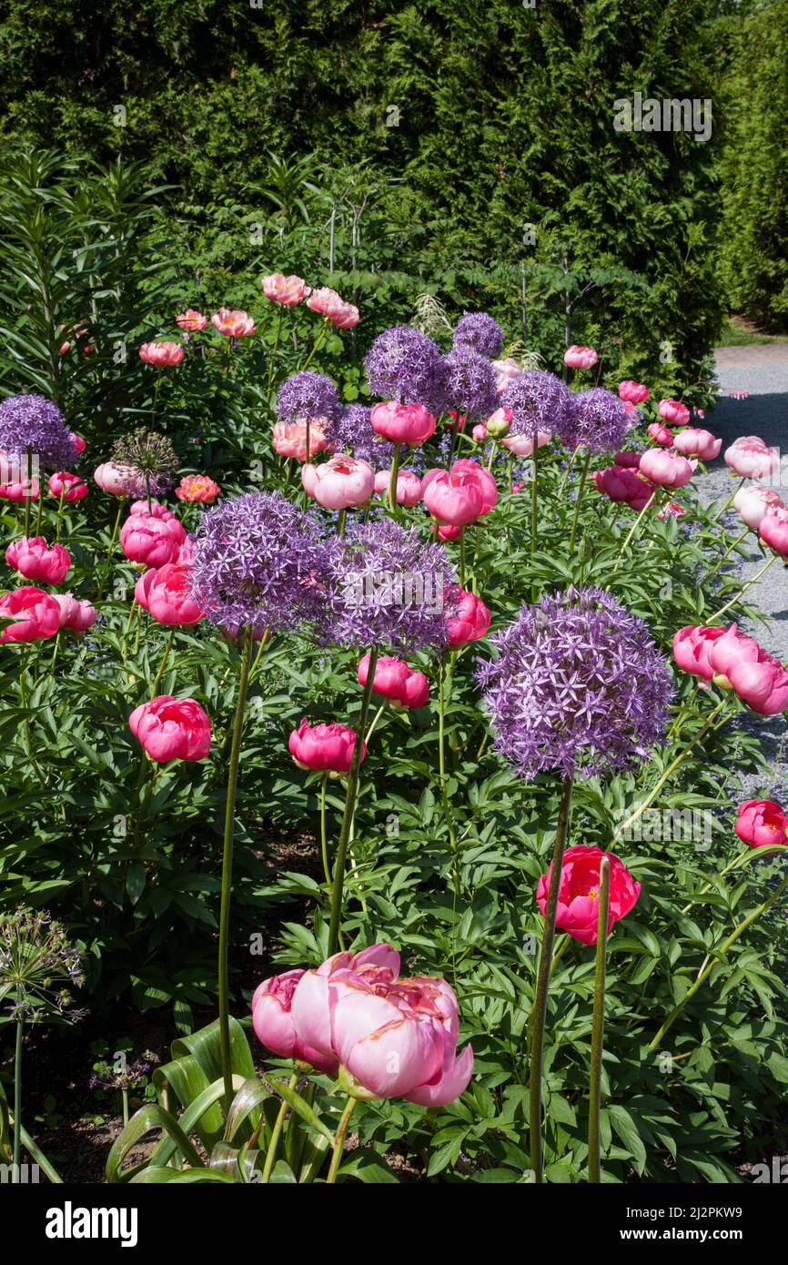 Flower garden, Longwood Gardens, Square, Pennsylvania, USA PA