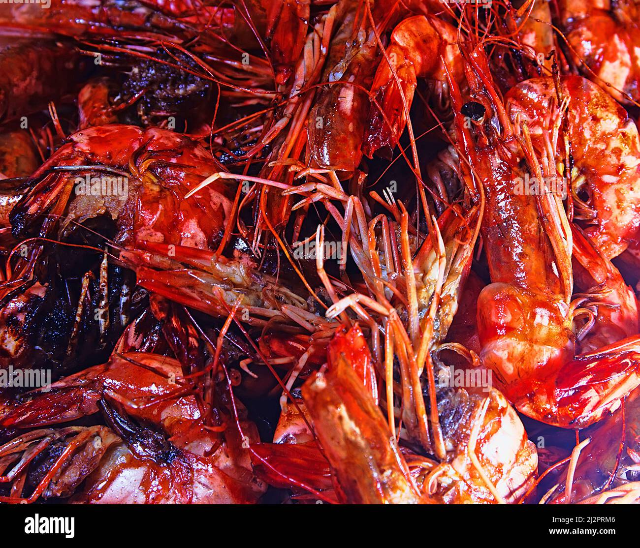 Oceanic freshly caught shrimp with caviar. Sri Lanka Stock Photo