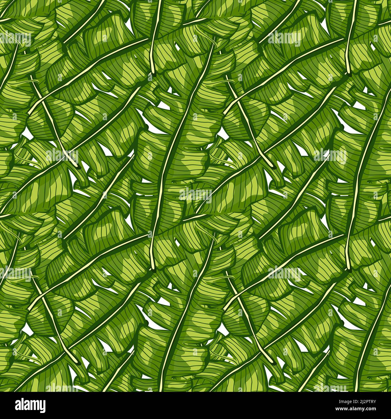 Banana leaf tropical seamless pattern. Jungle leaves background ...
