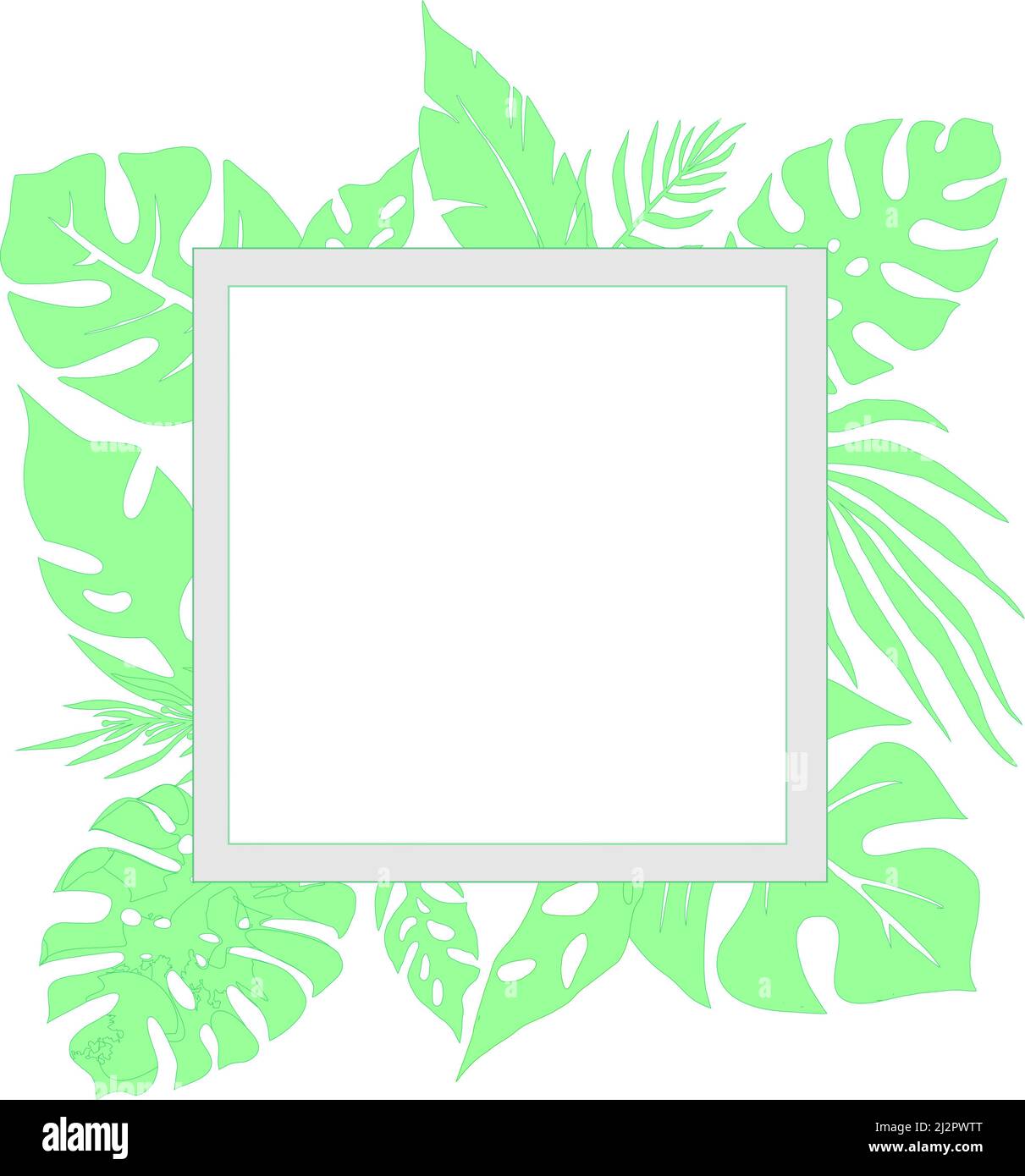 menthol frame made of tropical leaves and rectangle for writing text, postcard, cover Stock Photo