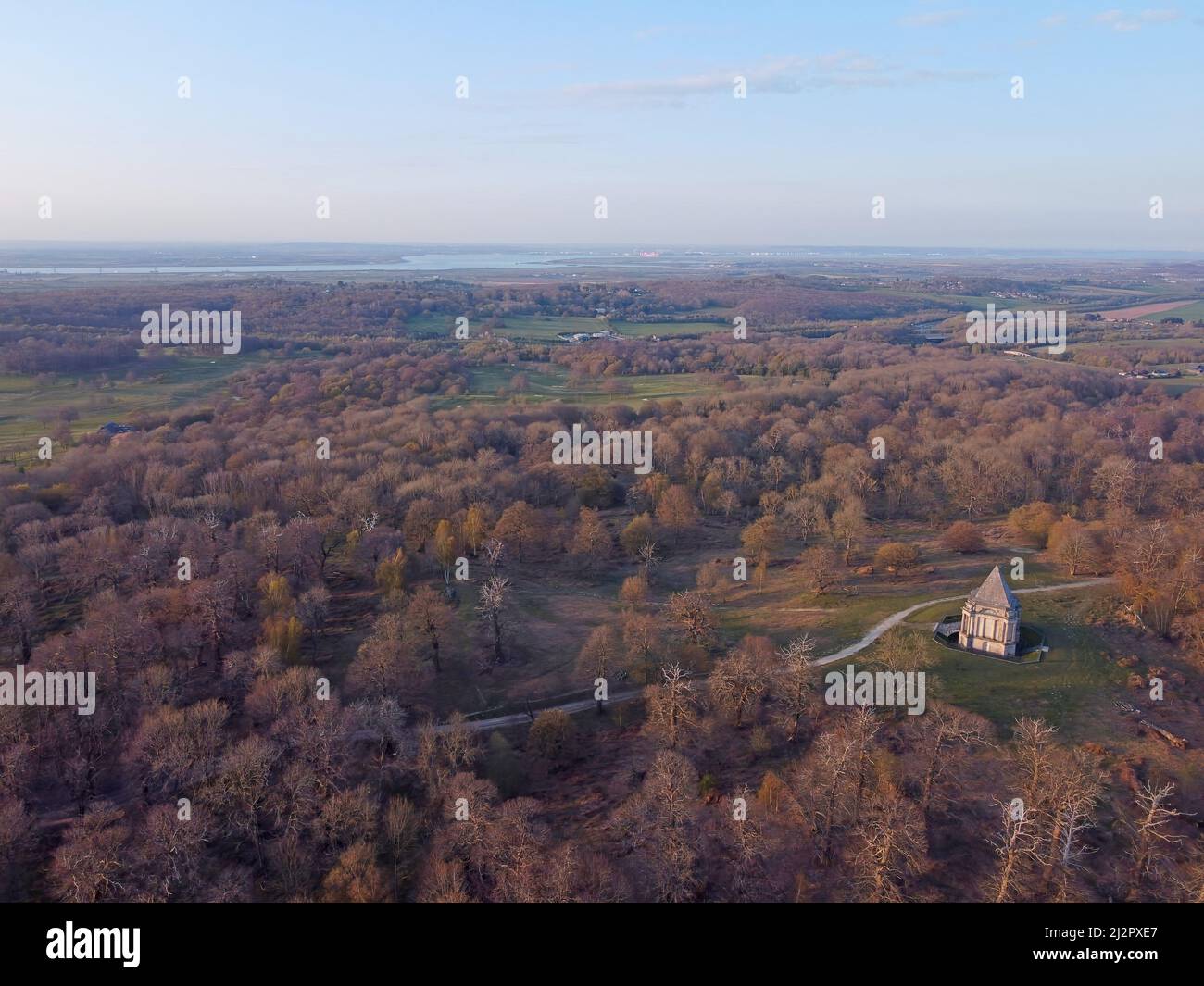 Aerial drone wood trees hi-res stock photography and images - Alamy