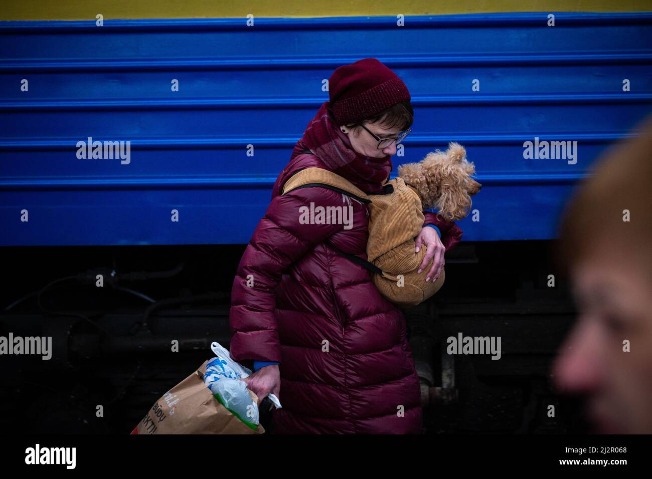 LVIV, UKRAINE - APR 02, 2022: Humanitarian catastrophe during at war in Ukraine. Refugees with a pet small poodle dog from Mariupol are flees to Europ Stock Photo