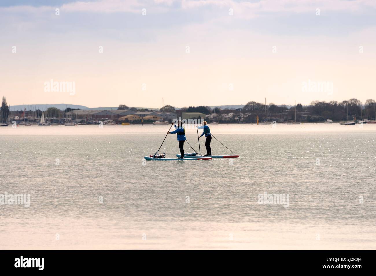 Two stand up paddle boarders in Portsmouth Harbour, UK. SUP. Stock Photo