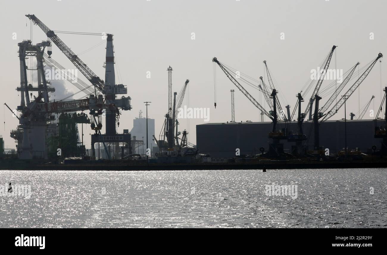 Rostock, Germany. 25th Mar, 2022. The Rostock seaport with the Liebherr
