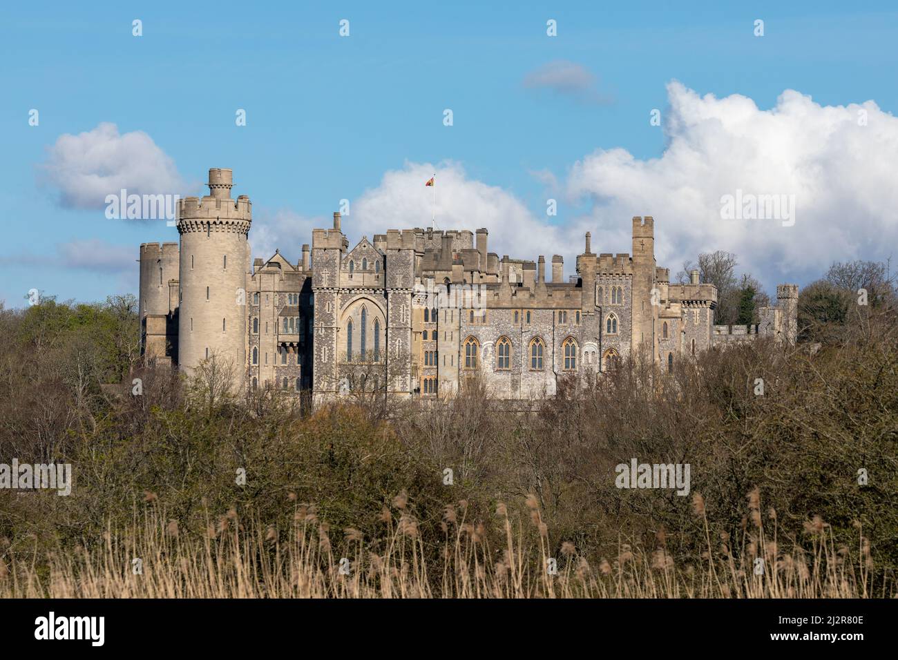 View of the West Sussex market town of Arundel. South side of the castle illuminated by the Spring sunshine. Stock Photo