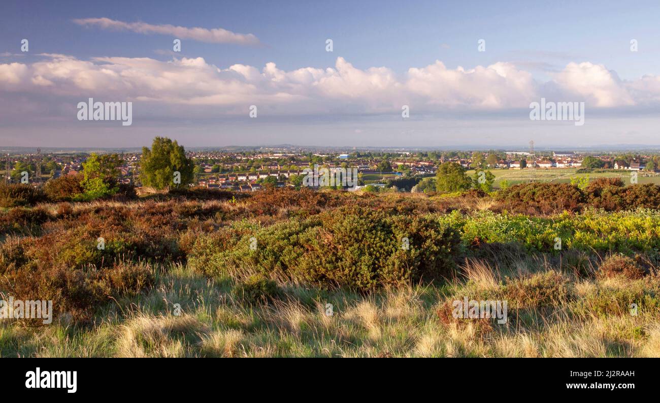 Gentleshaw Common with view across Chase Terrace and Chasetown in May Cannock Chase Country Park AONB (area of outstanding natural beauty) in Stafford Stock Photo