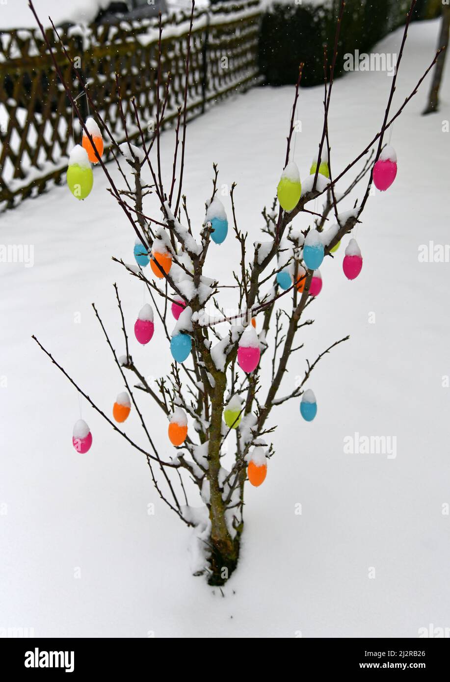 Colorful easter eggs with fresh snoe Stock Photo
