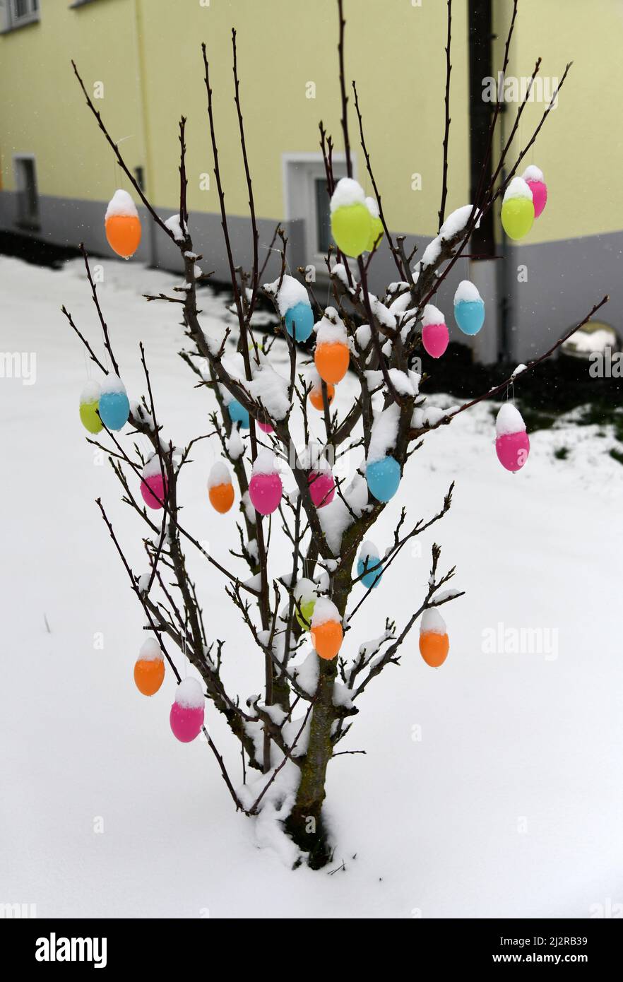Colorful easter eggs with fresh snoe Stock Photo