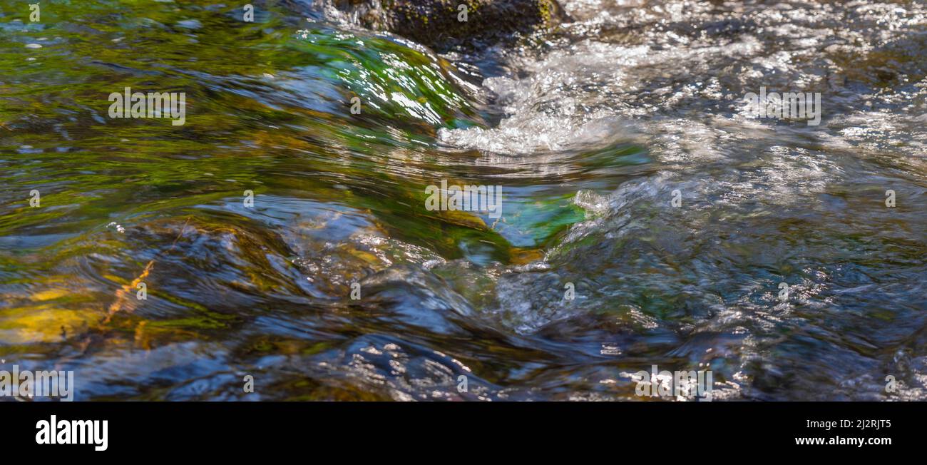 Low angle shot transparent hi-res stock photography and images - Alamy