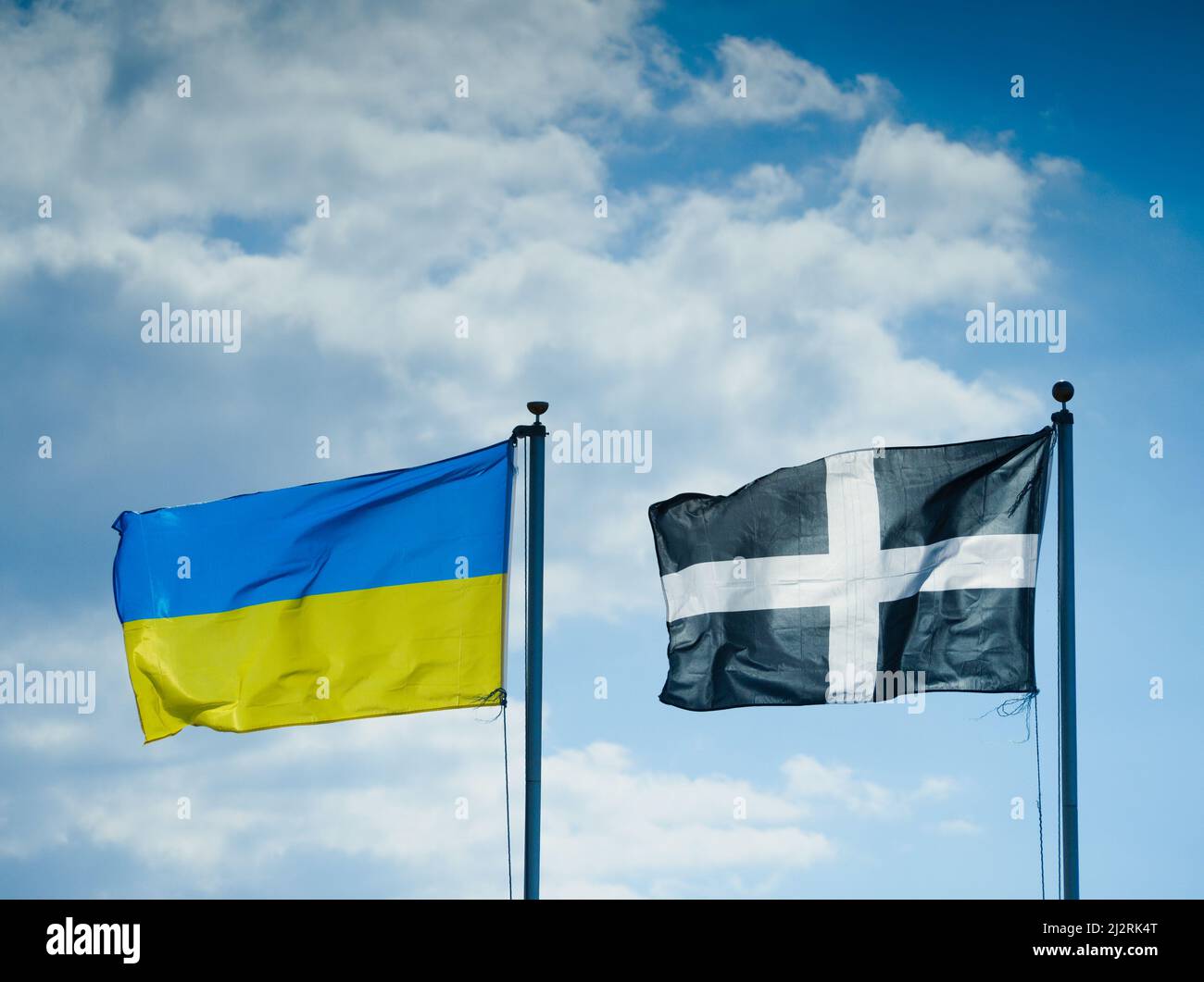 The flag of Ukraine flys next to the Cornish St. Piran's flag against a cloudy blue sky. People of Cornwall in solidarity with the people of Ukraine. Stock Photo
