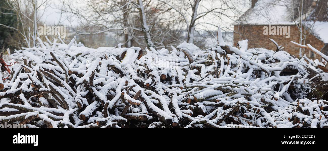 Large firewood stack in wintertime covered with cold snow Stock Photo