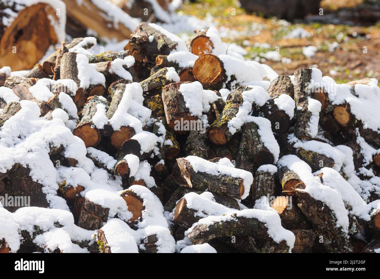 Large firewood stack in wintertime covered with cold snow Stock Photo