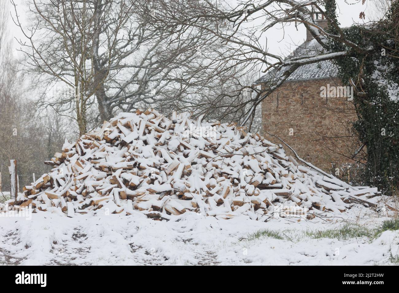 Large firewood stack in winter snow Stock Photo
