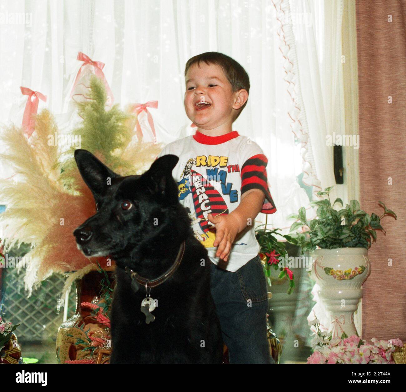 Blackie the dog is pictured with a small boy. 17th June 1993. Stock Photo