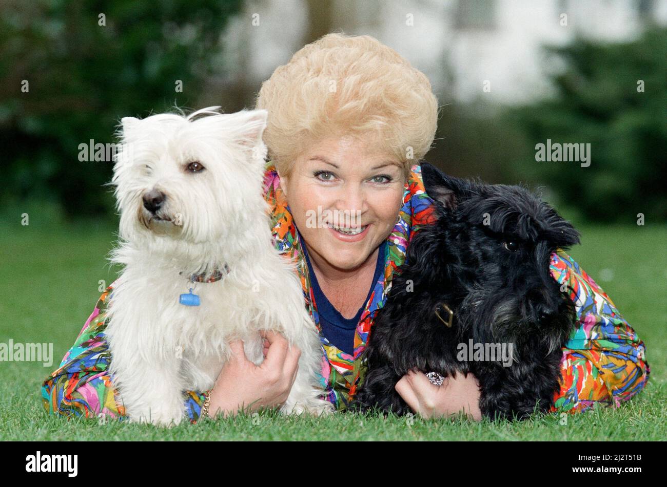 Actress Pam St. Clement with her two pet dogs. 14th April 1992 Stock Photo Alamy
