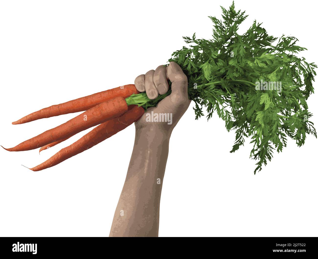 Defiant fist pump with a handful of carrots demanding safe and healthy food Stock Vector