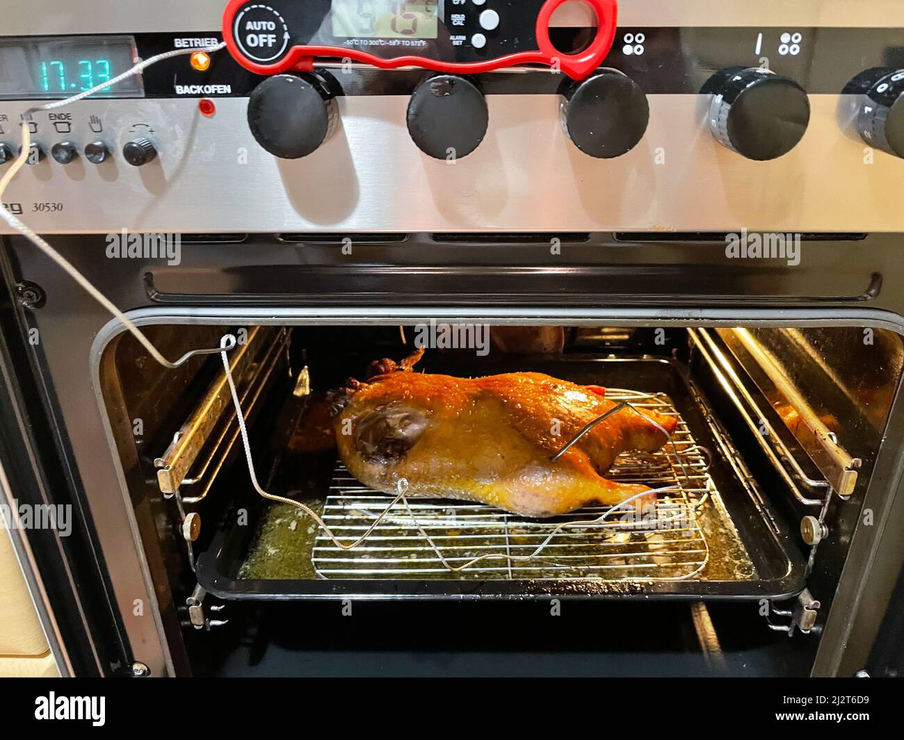 Duck in oven Stock Photo - Alamy
