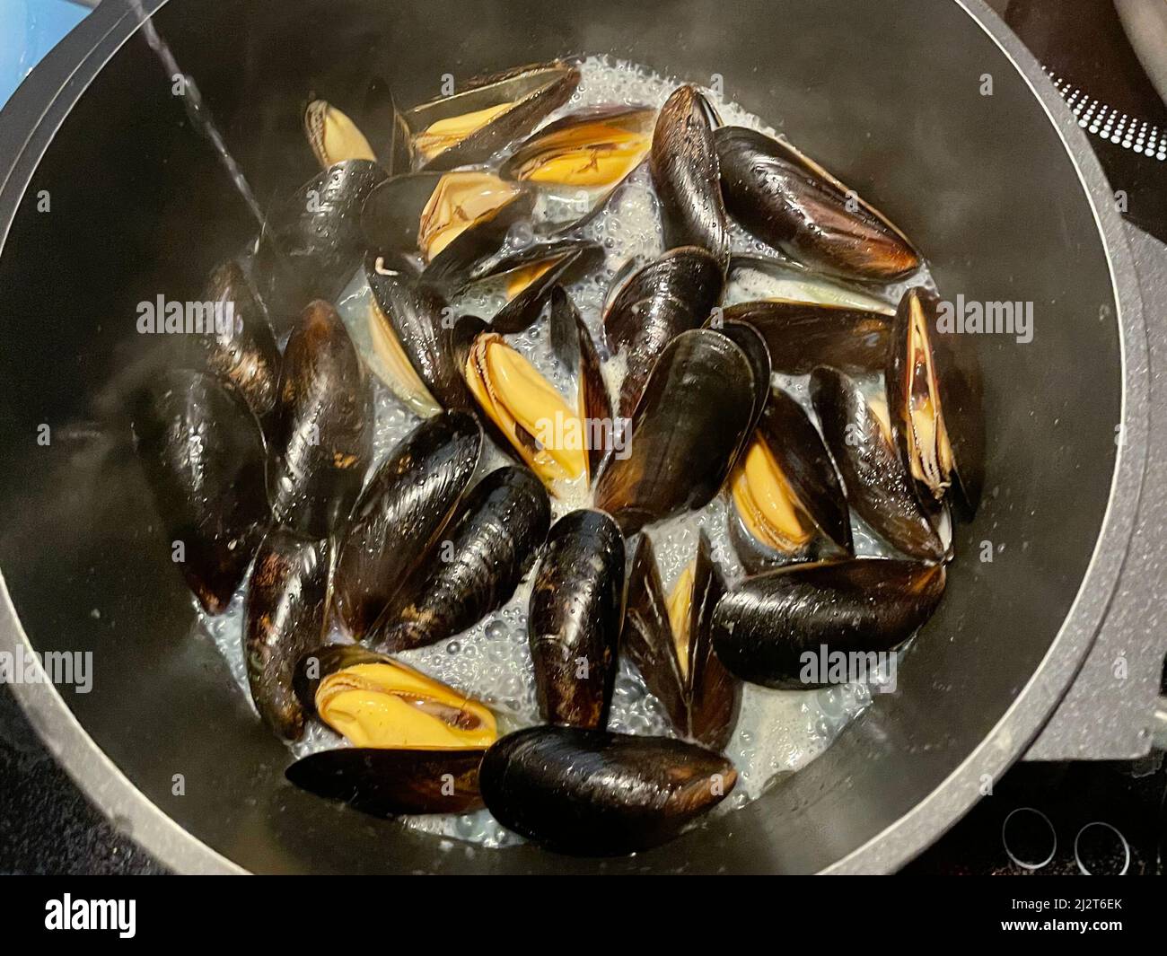 mussels in cooking pot Stock Photo Alamy