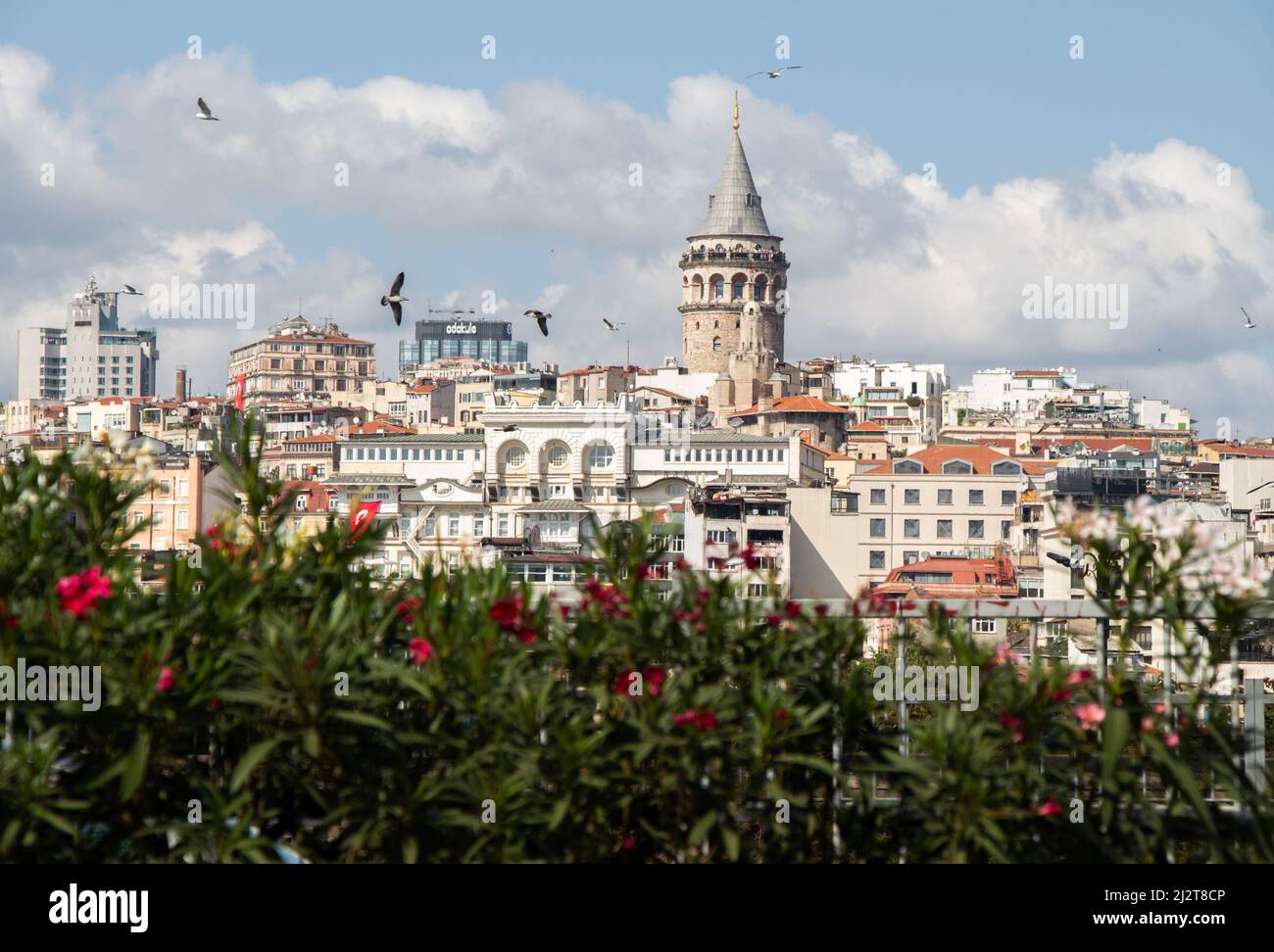 View of the Galata Tower from ancient times in Istanbul Stock Photo Alamy