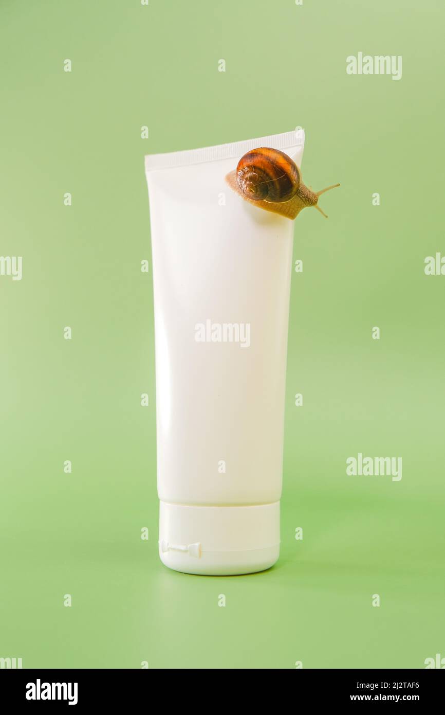Snail cosmetic.Snails on a white tube and a green leaf on a green background.Organic cosmetics with snail slime.Cosmetic tube with snail extract .  Stock Photo